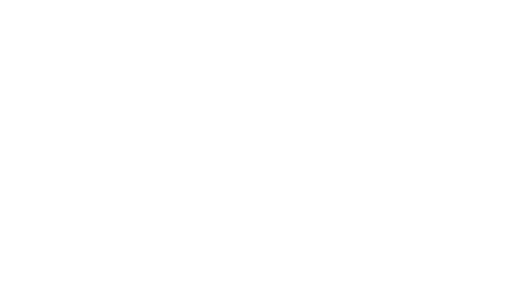 BAW logo white
